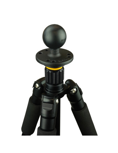 RAM® Ball Adapter with Round Plate and 3/8"-16 Threaded Hole