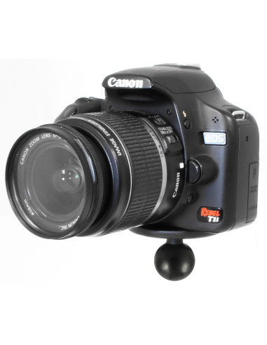 RAM® Ball Adapter with Round Plate and 1/4"-20 Threaded Stud - B Size