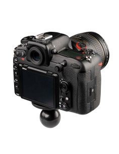 RAM® Ball Adapter with Round Plate and 1/4"-20 Threaded Stud - C Size 2