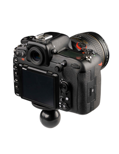 RAM® Ball Adapter with Round Plate and 1/4"-20 Threaded Stud - C Size