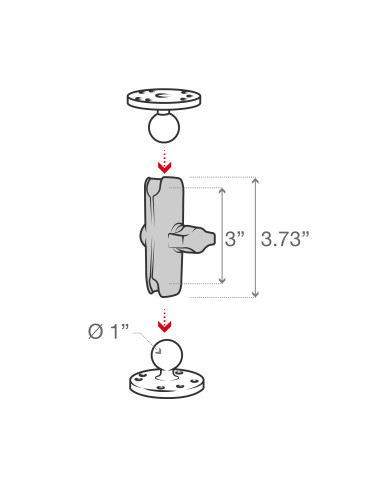 RAM® Double Socket Arm - B Size Medium