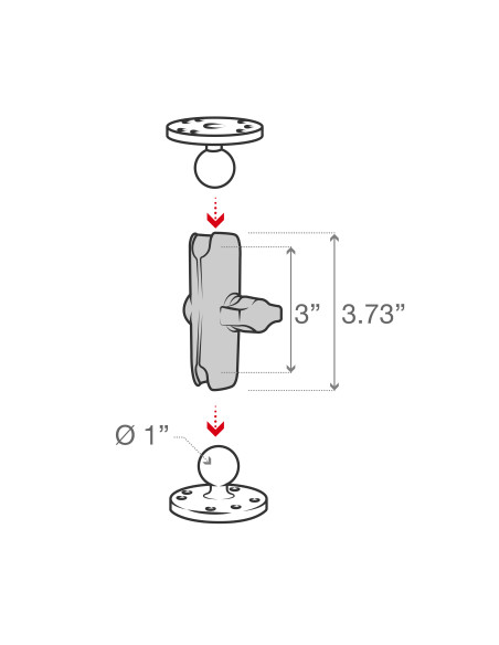 RAM® Double Socket Arm - B Size Medium