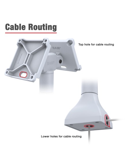 RAM® 7" Pedestal Mount with Dual 100mm VESA Adapters - Gray