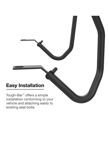 RAM® Tough-BarT for '03-25 Chevrolet Express & GMC Savana