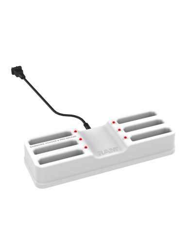 RAM® 6-Port Dock for XCover7, 7 Pro & 6 Pro with OEM or RAM® SkinT Gray